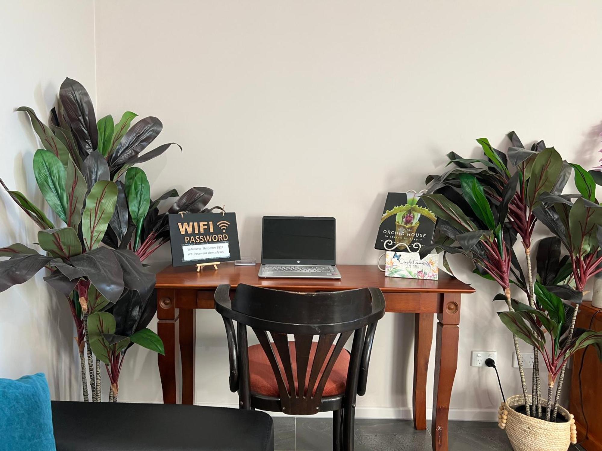 The Orchid Suite - Apartment In クックタウン エクステリア 写真